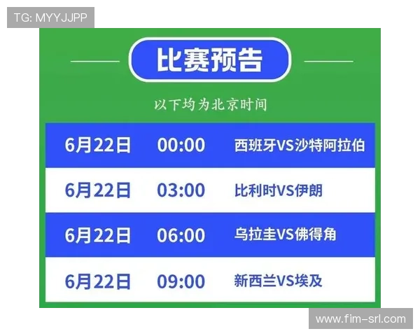 伊朗vs比利时世界杯门票购买攻略，助你轻松入场观看精彩比赛